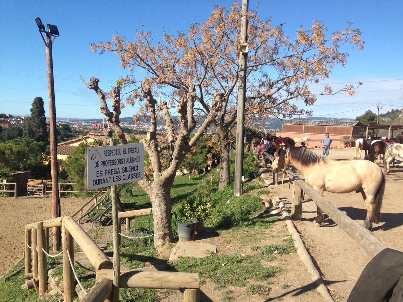 Poni Club Catalunya courtyard, with ponies, trees and the city in the distance.