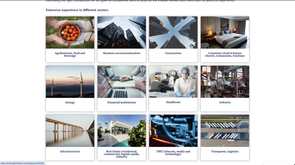 GBS Finance