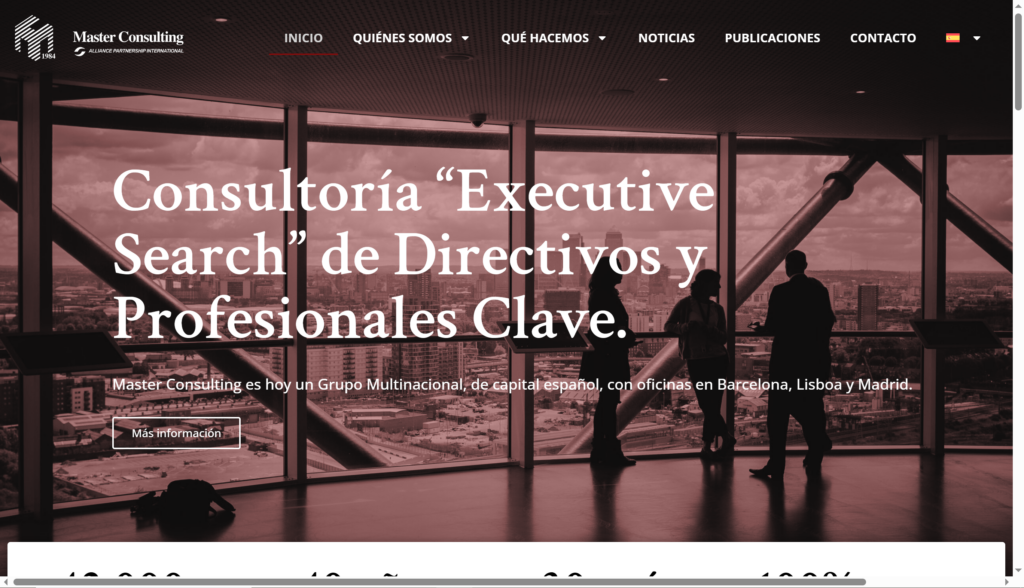 Nova imatge i Web Master Consulting