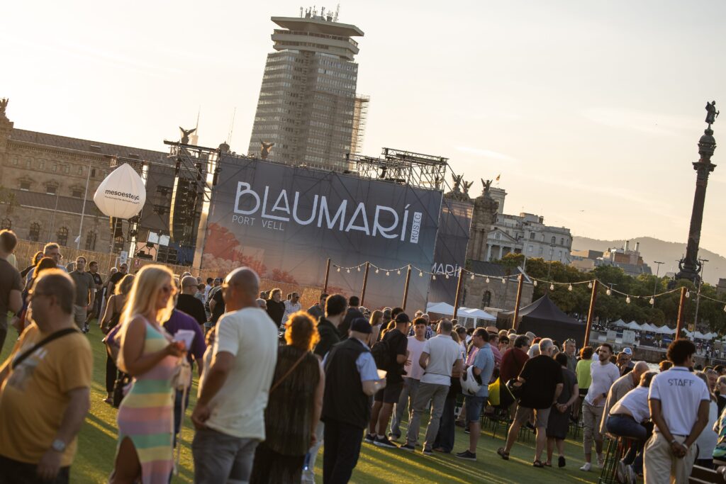 Marca y Imagen del Festival Blaumarí