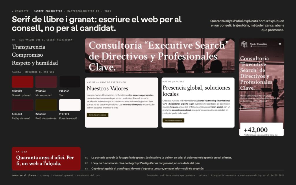 Nova imatge i Web Master Consulting