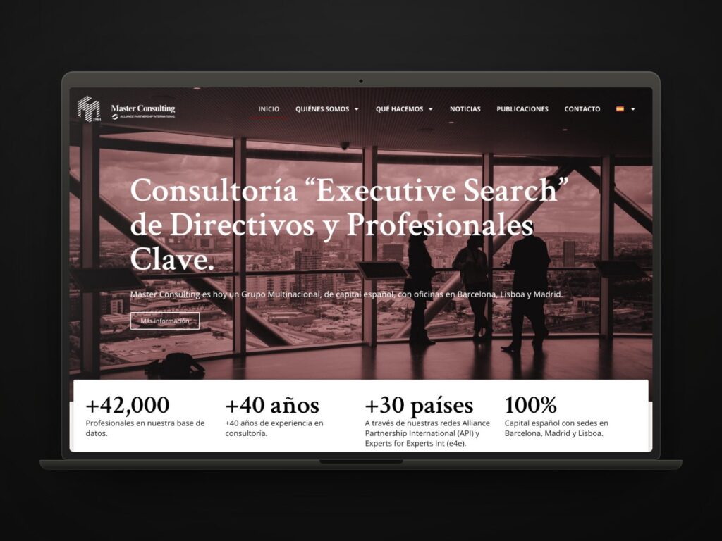 Nova imatge i Web Master Consulting