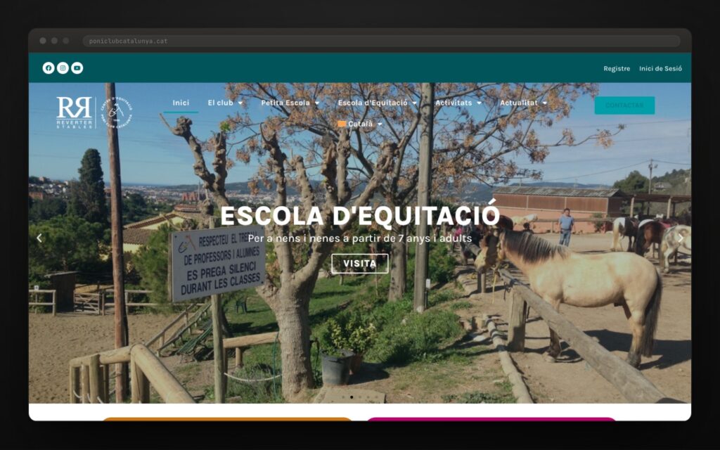 Un color para cada escuela: naranja, magenta, negro y turquesa.